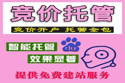 百度推广费用在不同行业的投放技巧与案例